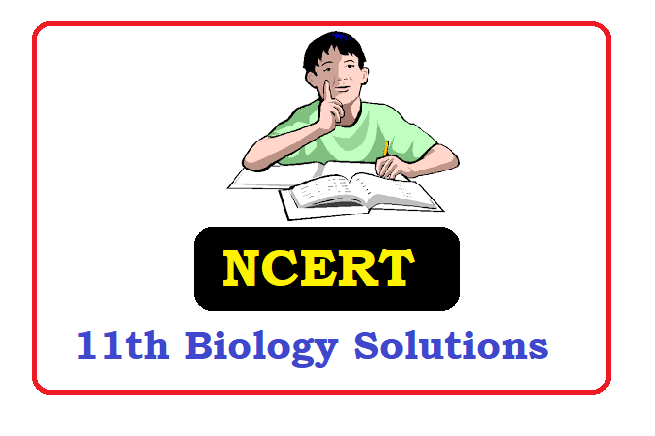 NCERT Class 11 Biology Solutions 2022