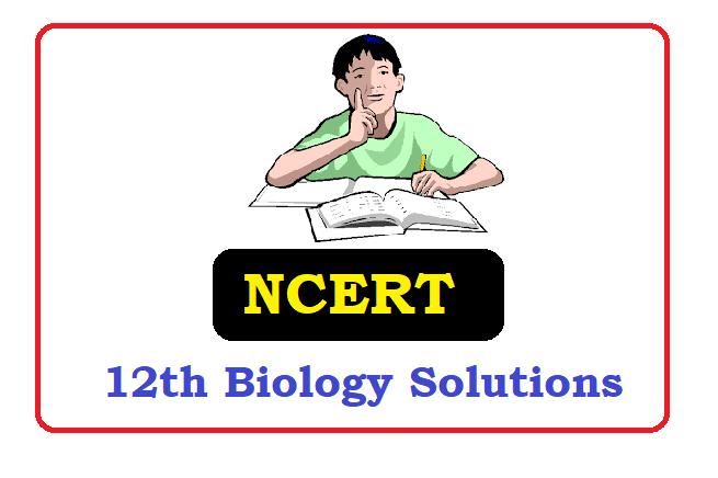 NCERT Class 12  Biology Solutions 2022