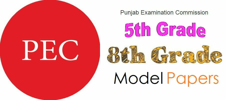 Punjab PEC 5th & 8th Grade Past Paper, Solved Paper 2019