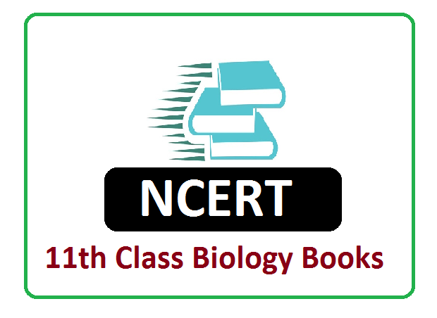 NCERT Biology Books 2025 for 11th Class