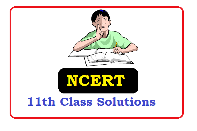 NCERT 11th Class Solutions 2024